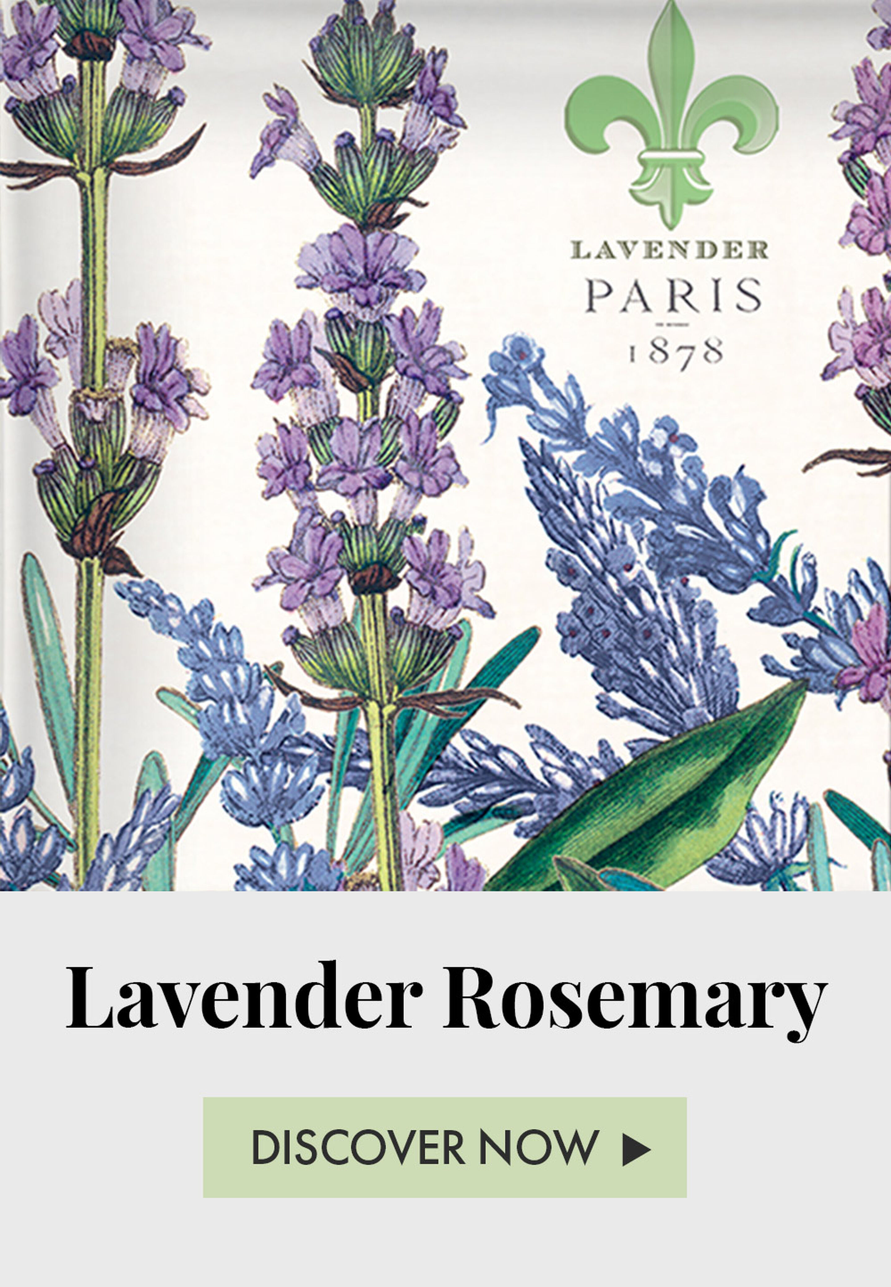Lavender Rosemary - Discover Now